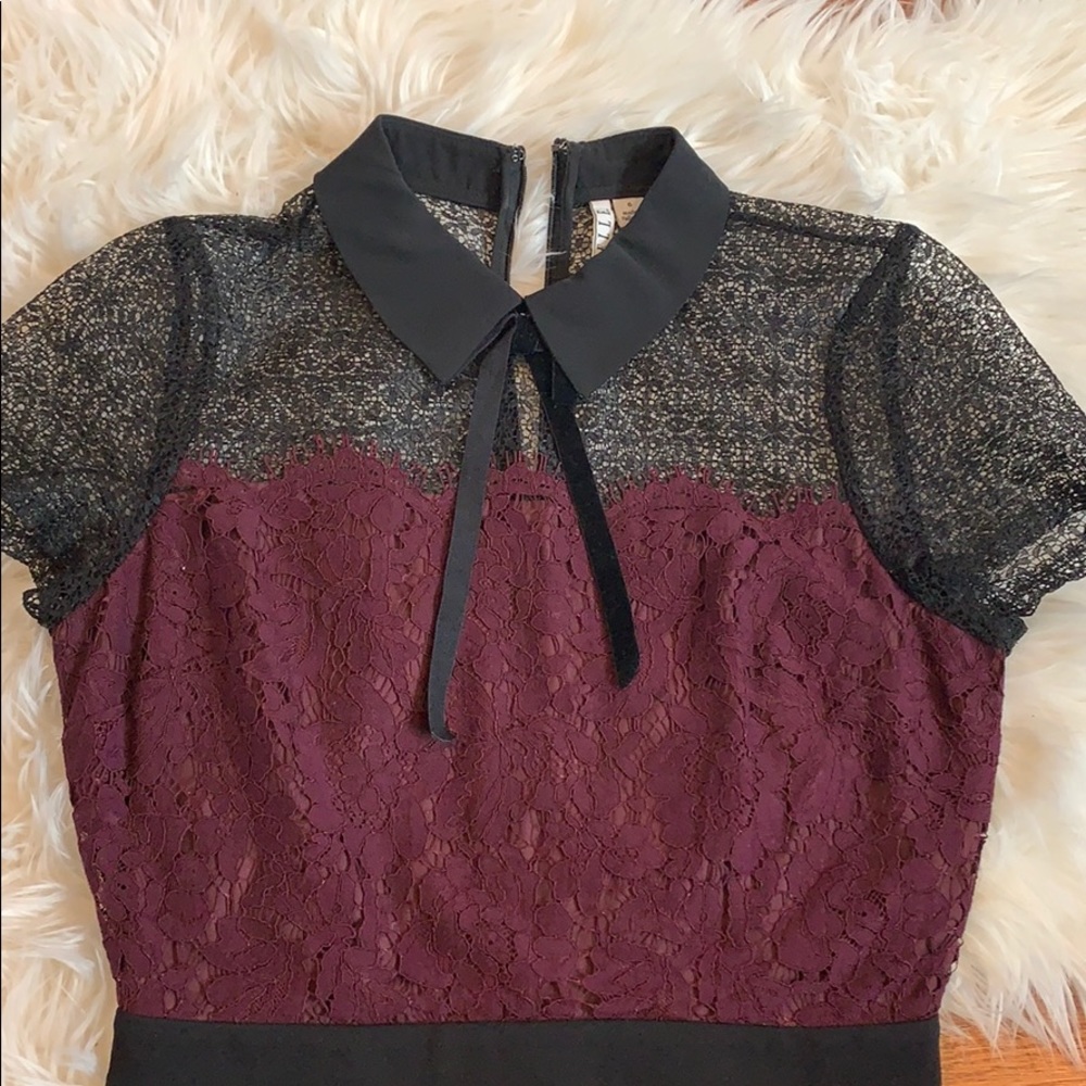 Elle Lacey Collared Midi Dress - Picture 4 of 8